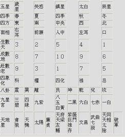 屬木的數字|數字五行是什麼？認識數字五行配對和屬性